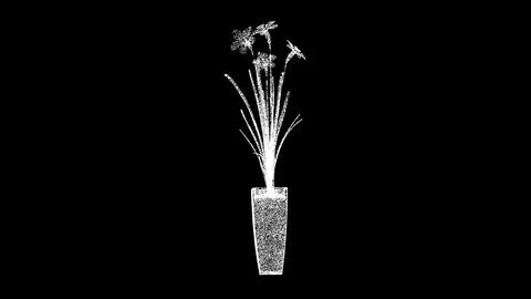 3D Daffodils in a pot rotates on black background. Spring flowers concept. Ho 스톡 일러스트