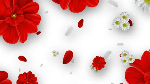 3D Daisy Background Animation.01 Stock-Footage 244590057