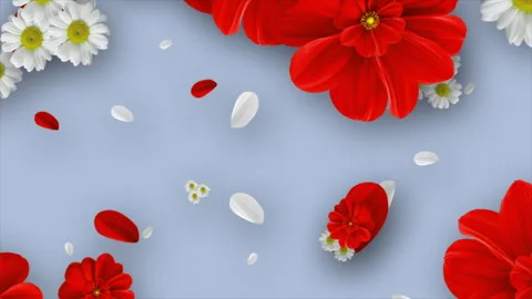 3D Daisy Background Animation.02 Stock-Footage 244590771