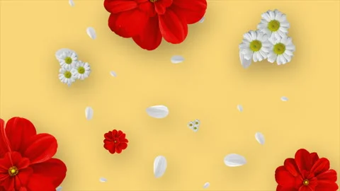 3D Daisy Background Animation.04 Stock Footage 244593671