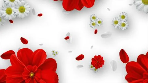 3D Daisy Background. Background for Text or Product Promotion. Stock Illustration