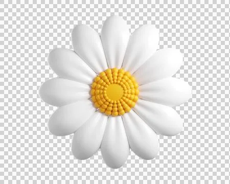 3D Daisy Flower Stock Illustration