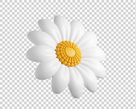 3D Daisy Flower Stock Illustration