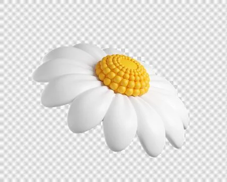 3D Daisy Flower Stock Illustration