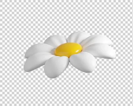 3D Daisy Flower Stock Illustration