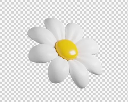 3D Daisy Flower Stock Illustration