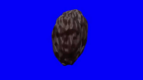 3D Dates Fruit Looping Animation Rotating on Blue Screen, High Quality Brown Pho Stock Footage 344559598
