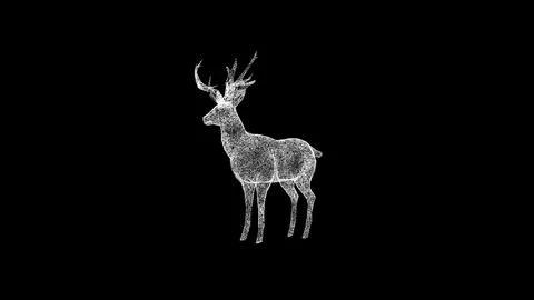3D deer on black background. Object dissolved white flickering particles. Sci イラスト素材