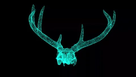 3D deer skull rotates on black background. 3d animation 60 FPS. Stock Footage 244471661