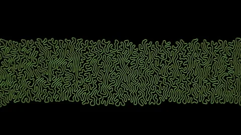 3d Differential Growth simulation. Evolving meandering growing line. Video stock 344060452