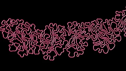3d Differential Growth simulation. Evolving meandering growing curved line. Stock Footage 345091833
