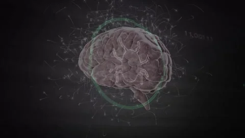3D digital brain model rotating after green ring appears, pulsing circuits Stock Footage 312099745