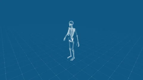 3D Digital Human Skeleton Model on Blue Grid Background Illustration Stock Footage 341573435