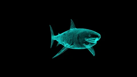 3D Digital Illustration of Great White Shark with Neon Glow on Black Backgrou Stock Footage 342247451