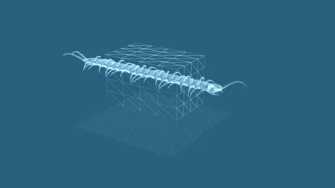 3D Digital Model of a Centipede in a Wireframe Environment 库存影片 343863430