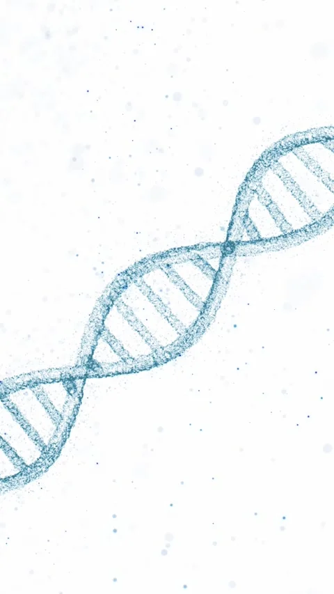 3d dna chain loop rotation on white background Stock Footage 345328064