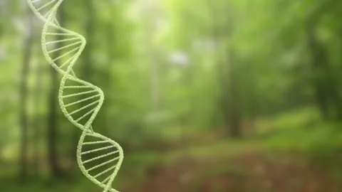 3d dna chain rotation on blurred nature background Stock Footage 230092355