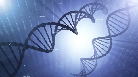 3d DNA chains in artistic artificial intelligence network Stock-Footage 324202816