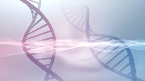 3d dna chains on bright blurred foggy light background Stock Footage 338106049