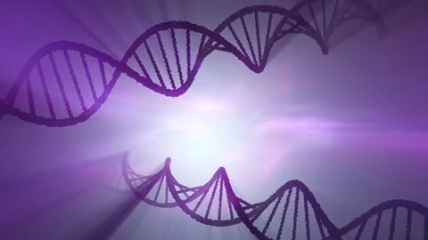 3D DNA chains loop rotating in shine artistic space Stock Footage 345055711