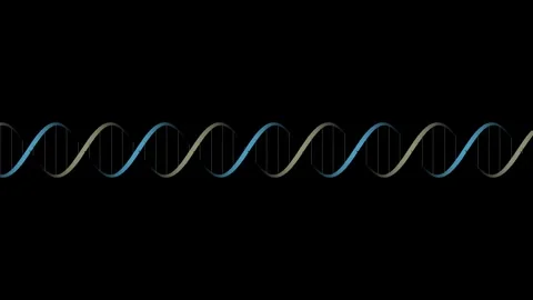 3D DNA double helix rotating animation for science background 4K Vídeos de archivo 336516636