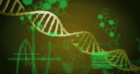 3D DNA helix rotating while molecular motifs, waveform and code updating to Stock Footage 310153591