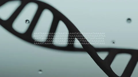 3D DNA Strand Close-up Stock Footage 166671442