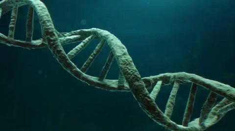 3d DNA Strand Illustration