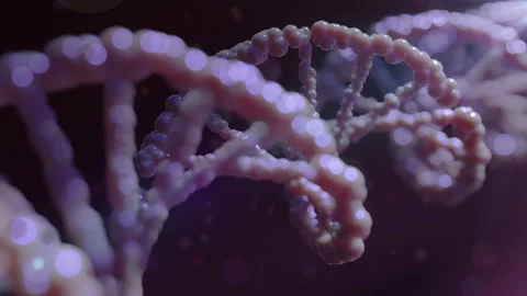 3d dna strand with rna chromosomes at mi... | Stock Video | Pond5
