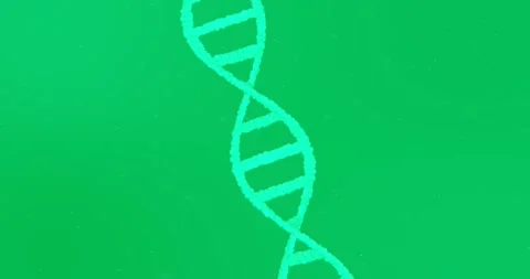 3D DNA structure forming against green background Stock Footage 324892561