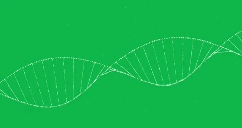 3D DNA structure forming against black background Stock Footage 324947338