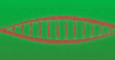 3D DNA structure forming against red background Stock Footage 324947357