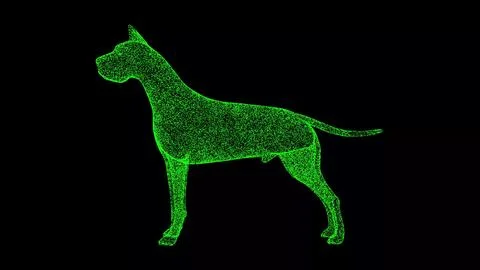 3D dog on black background. Object made of shimmering particles. Pets care co 스톡 일러스트