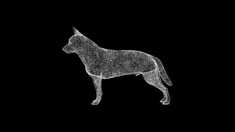 3D dog on black bg. Object dissolved white flickering particles. Business adv Illustrazione stock