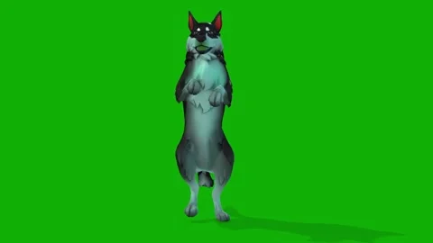 3D Dog Dancing Moment From Front Side Rendering Animation on Green Screen Stock Footage 308216237