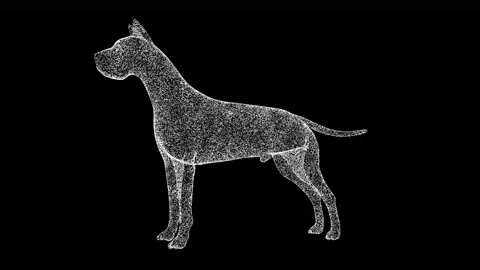 3D dog rotates on black background. 3d a... | Stock Video | Pond5