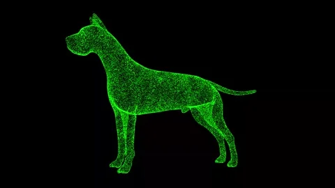 3D dog rotates on black background. 3d a... | Stock Video | Pond5