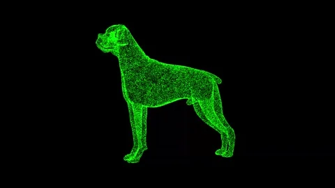 3D dog rotates on black background. For ... | Stock Video | Pond5