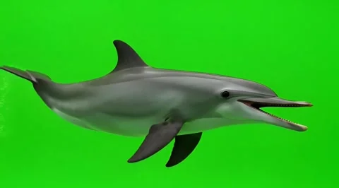 3d dolphin leaping in vibrant green water with realistic texture and motion Stock-Footage 331860151