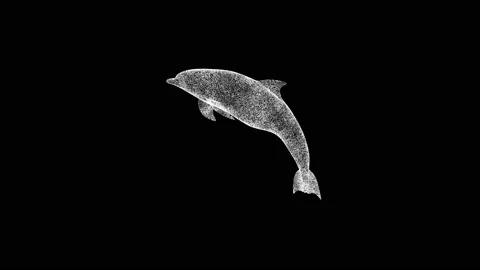3D dolphin rotates on black bg. Object dissolved white flickering particles 60 Video stock 235942967