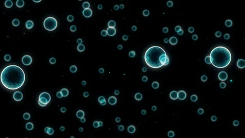 3D dynamic cells multiplying able to loop Stock Footage 81133295