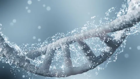 3D dynamic DNA double helix structure plays in a loop Видео 341850120