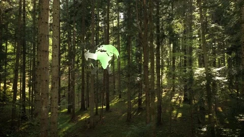 3d Earth planet with recycle arrows inside sunny forest landscape Stock Footage 229849144