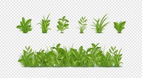 3D Easter grass. Vegetation plants. Green spring field. Border with nature Stock Illustration