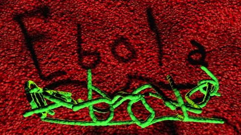 3D Ebola Virus casts a shadow Video stock 42645497