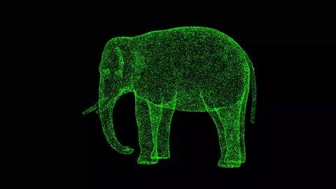3D Elephant on black background. Wild Animals concept. Circus and Zoo. Business Stock Illustration