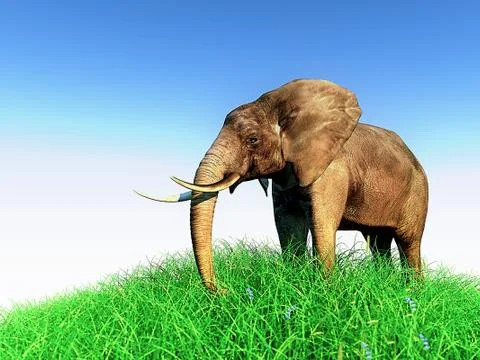 3d elephant in nature Stock Illustration