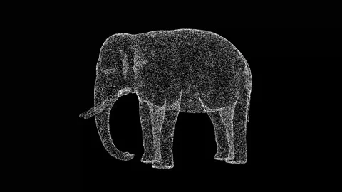 3D Elephant rotates on black background. Wild Animals concept. Circus and Zoo Vídeo Stock 264779911