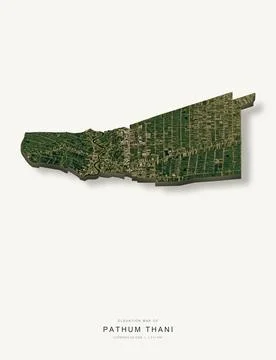 3D elevation map of Pathum Thani Province, Thailand, shaded relief terrain mo Stock Illustration