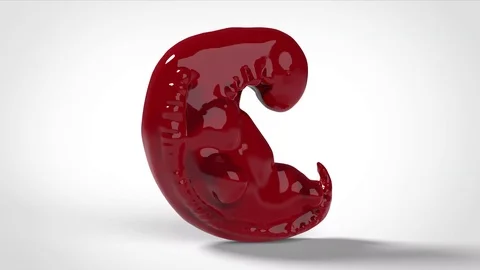 3d Embryo animation loop real 5 weeks old fetus 스톡 동영상 111949817